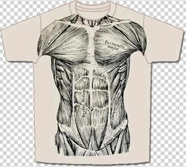 Musc Front Short