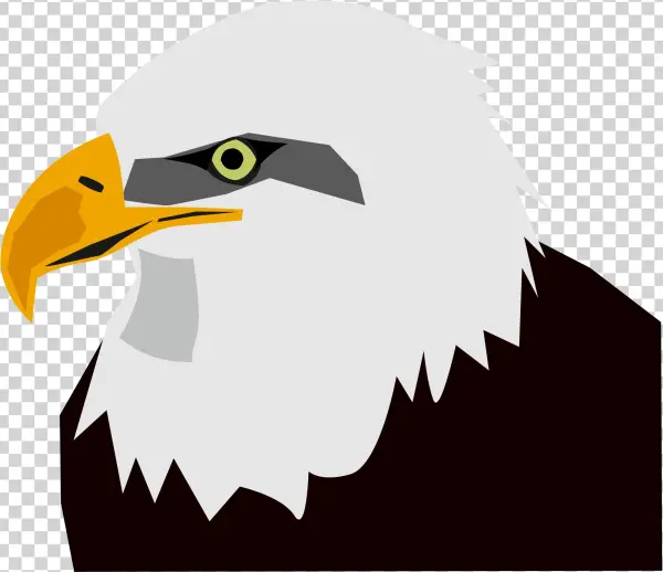 Open - Eaglehead Png
