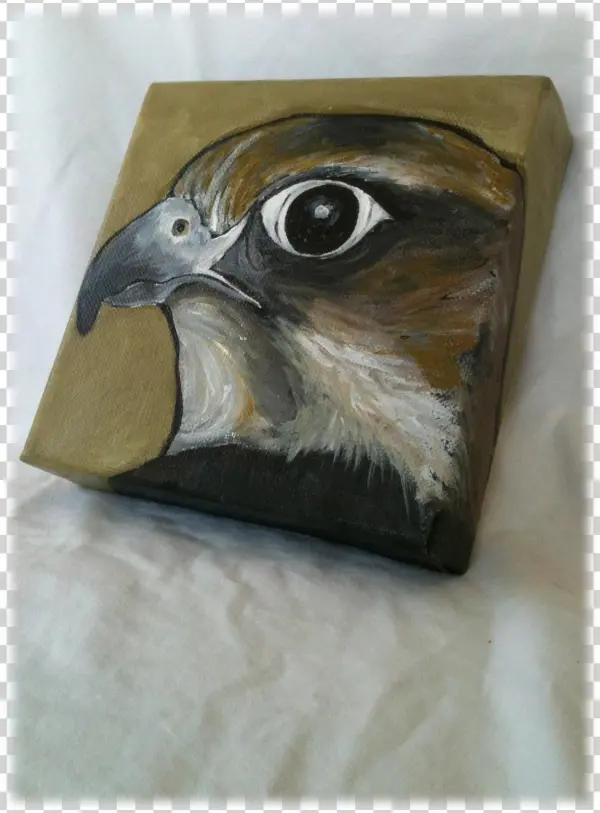 Peregrine Falcon - Painting