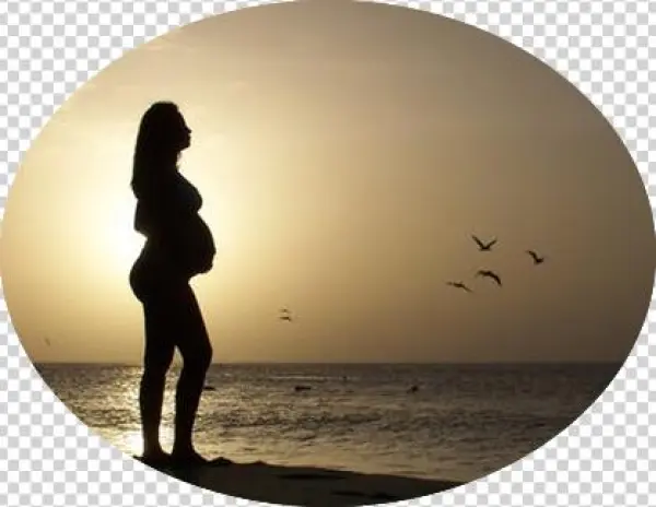 Pregnancy - Another Chance [book]