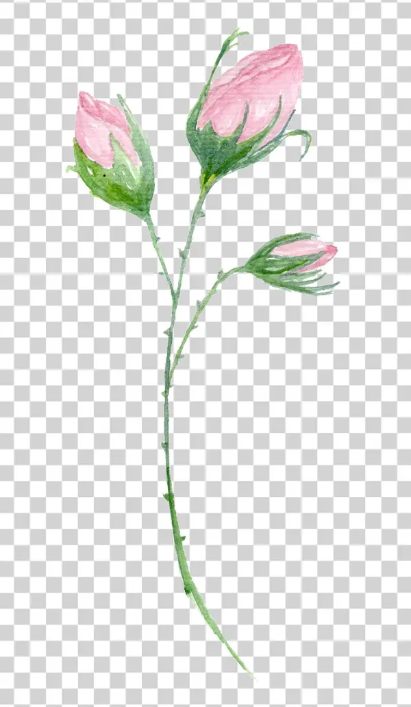 Transparent Decorative For A Stamen - Clip Art