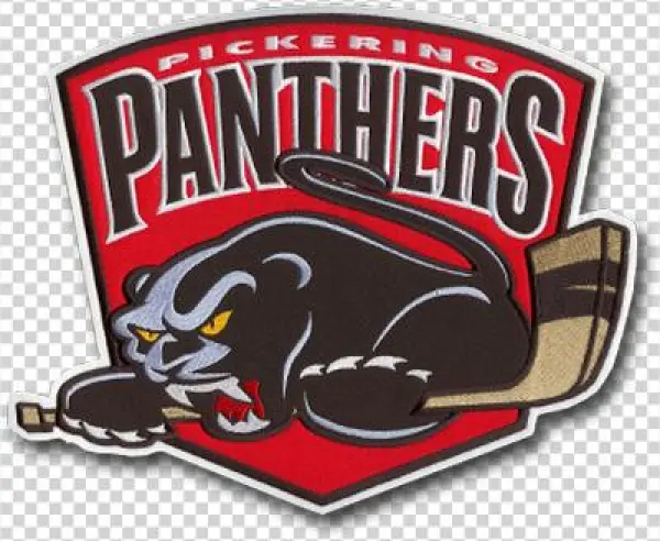 400 204 Sportspatch-panthers - Hockey