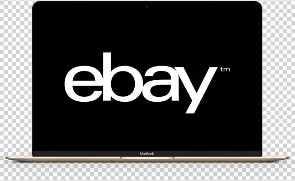 Ebay Selling For Dummies: Learn How To Sell On Ebay