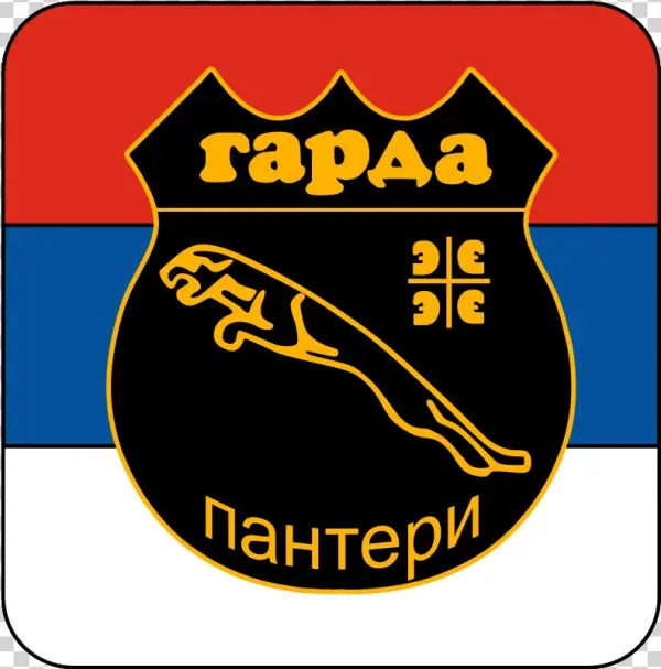 Fichier - Panthers