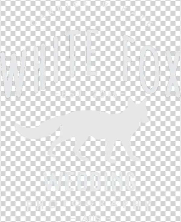Fox Shine Png