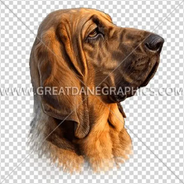 Hound Dog - Hound Dog Unique Strength; Excellent Scent Recognition