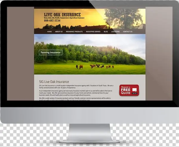 Live Oak Insurance - 'cows On Field Panorama' Photographic Print On Wrapped