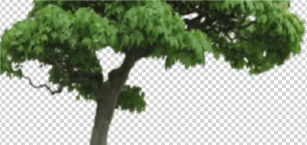 Related - Oak