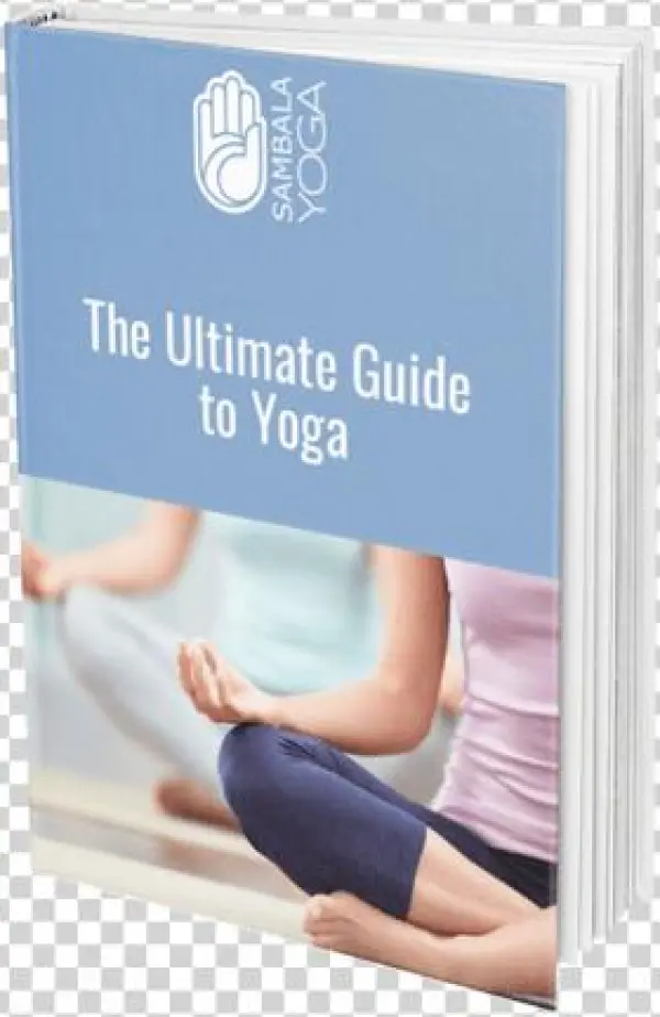 Ultimate Guide To Yoga - Euleven 3060w Aromatherapy Essential Oil Diffuser,
