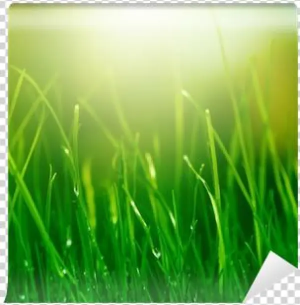 Ecopharmacology And Its Future Forensic Implications