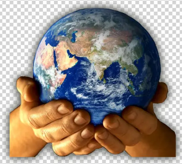 First Ecology: Ecological Principles And Environmental