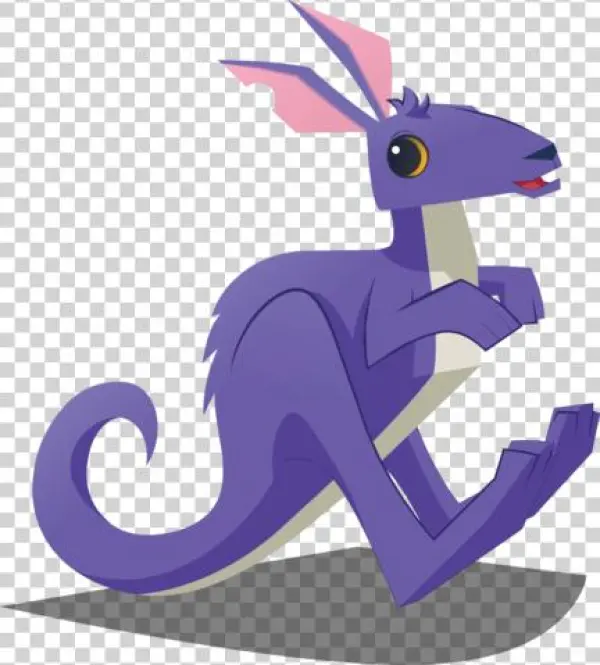 Kangaroo4