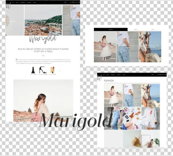 Marigold-wordpress - Collage