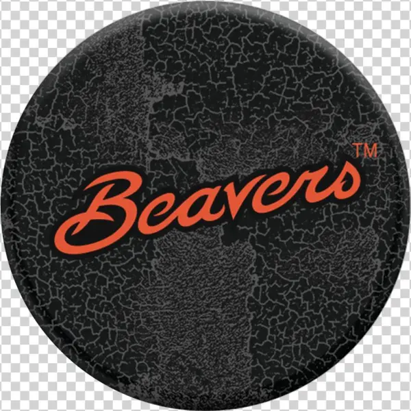 Oregon State Heritage - Oregon State Beavers Script Design On Black Otterbox