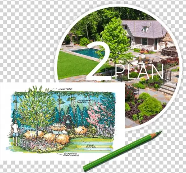 Process Step2 Plan - Yard
