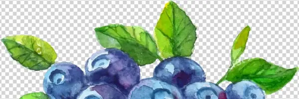 Recky Jogurt Milko Jogurt Milko Boruvky Milko Boruvky - Bilberry