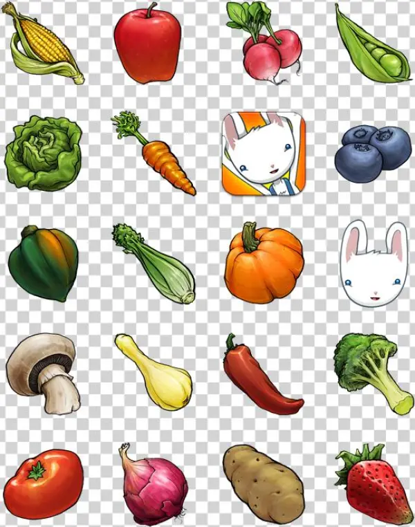 Search - Icon