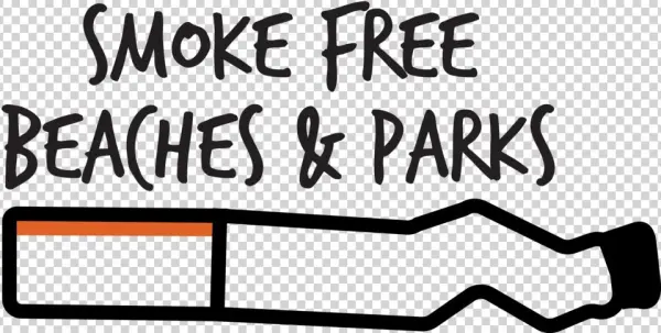 Smoke Free Colour - Decal Guru A Beautiful Mess Wall Decal Size: 35" H