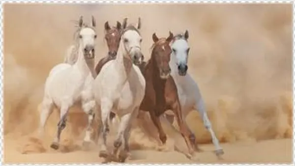 Union Rustic 'running Horses (style 2)' Graphic Art