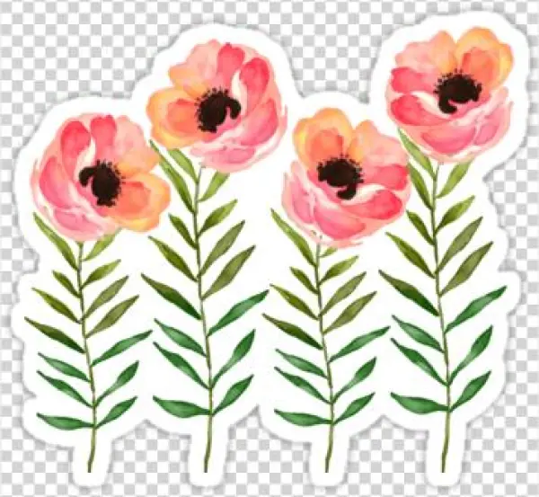 Watercolor Flower Png Watercolor Flower - Pink Dot Floral: Headband, Hat, Newborn Hat, Baby Hat,