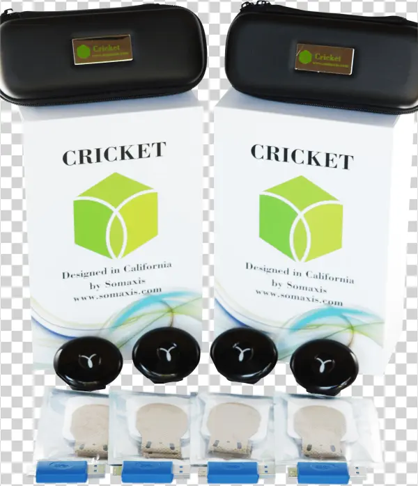 4 Crickets