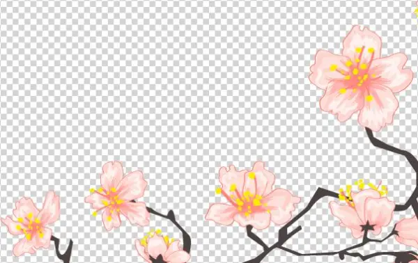 Asian Sakura3 - Zinnia