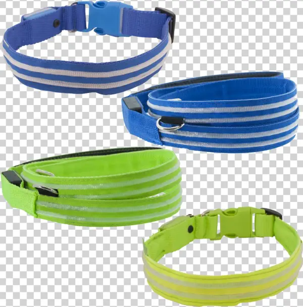 Bargain Sale Shop The Led Lite Up Leash & Collar