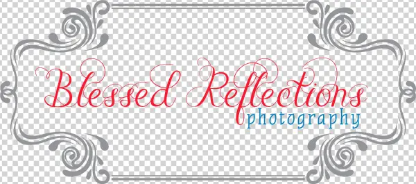 Blessed-reflection - Bevinbold Bridesmaid Bracelets / Will You Be My Bridesmaid