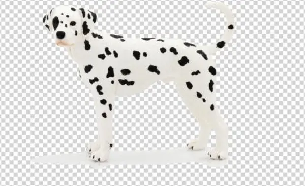 Farmland - Dalmatian