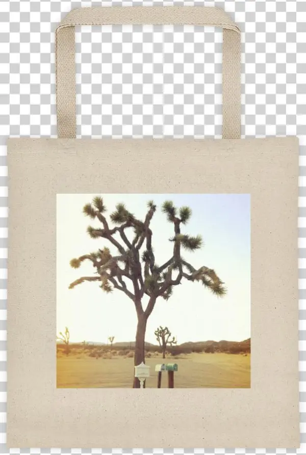 Joshua Tree Tote - Probably Full Of Books Tote Bag. Book Bags Back To