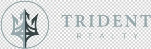 Logo - Rising: Strategies For The Broke, The At-risk, And