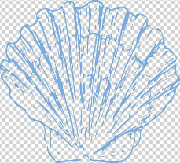 Original Png Clip Art File Scallop Svg Images Downloading