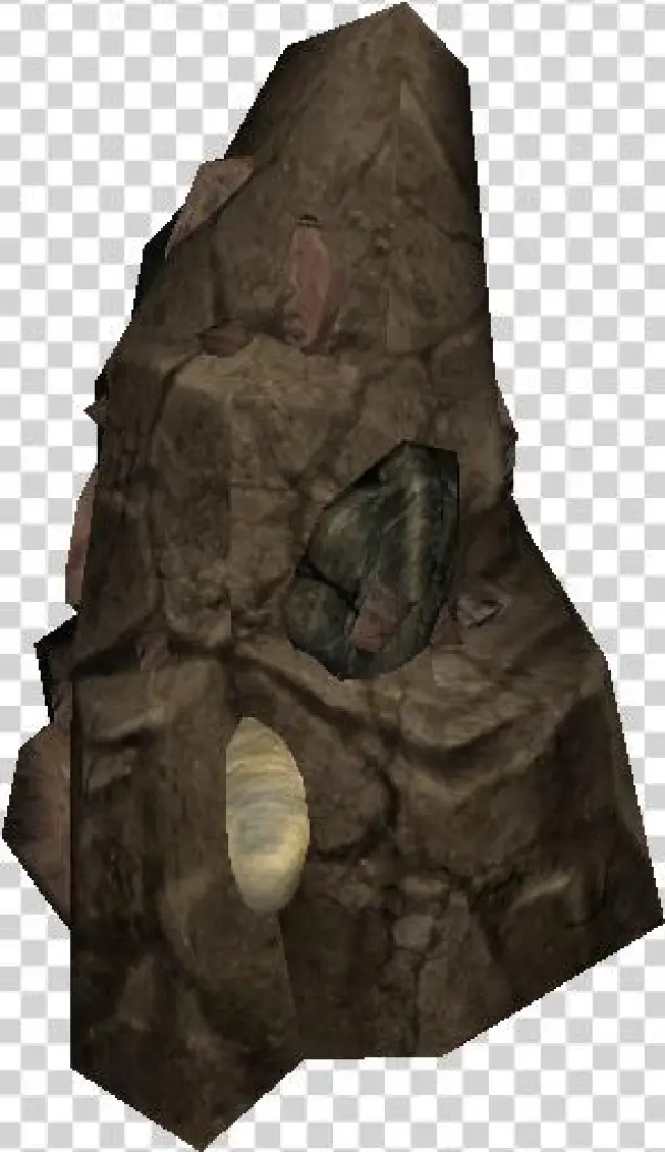 Pile Of Clams - Portable Network Graphics