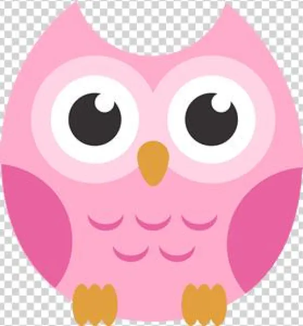 Pink Owl - Green