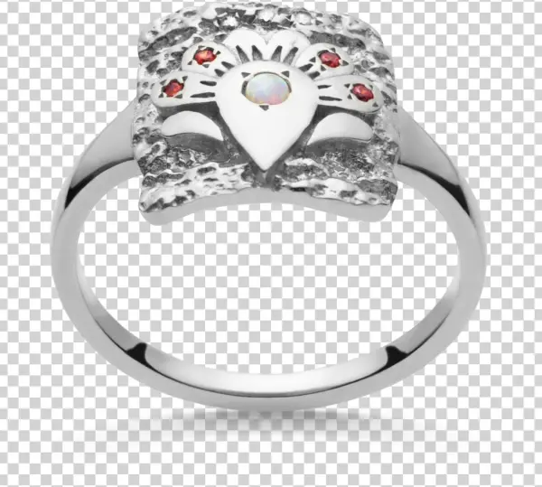Pre-engagement Ring