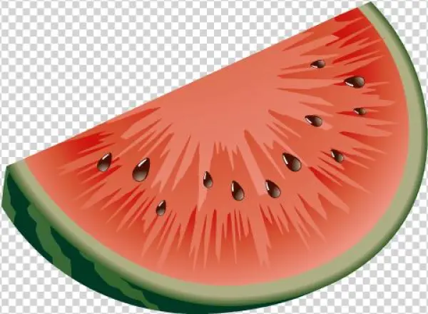 Sandia - Drawing