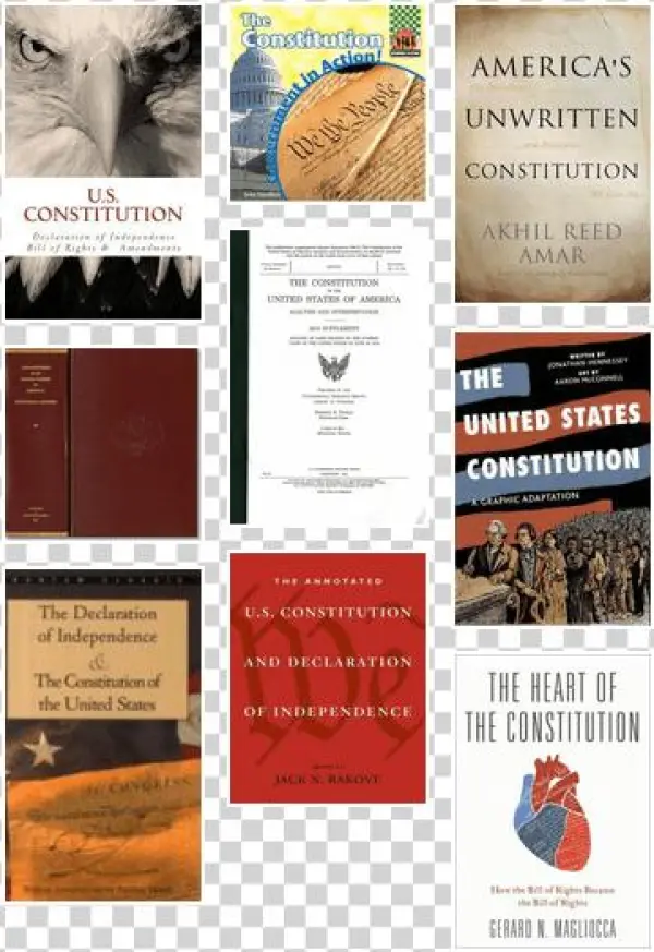 United States Constitution: A Graphic Adaptation [book]