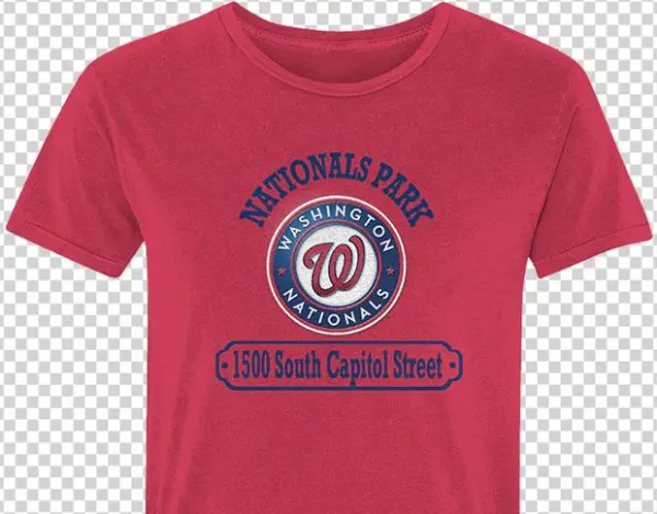 Washington Nationals - Washington Nationals Dog Pet Premium Baseball Jersey