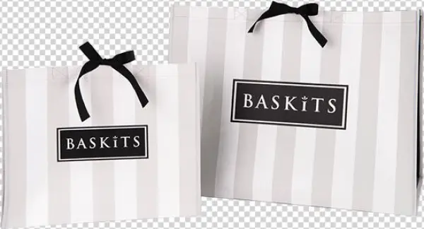 Why Baskits 2 Bags - Baskits Inc