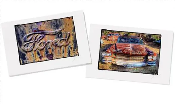 Wonder - Visual Arts