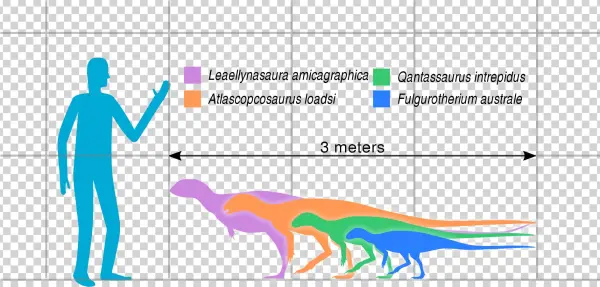 Australian Hypsilophodont Sizes Slate - Hypsilophodont