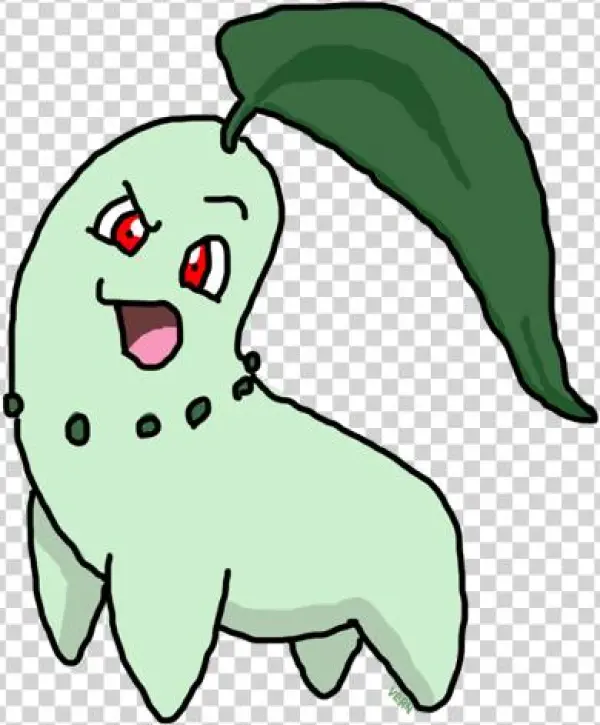 Chikoritaattitude 50