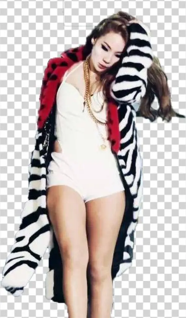 Cl 2ne1 Png By Ichrom28-d70qu67 - Lee Chae Rin Png