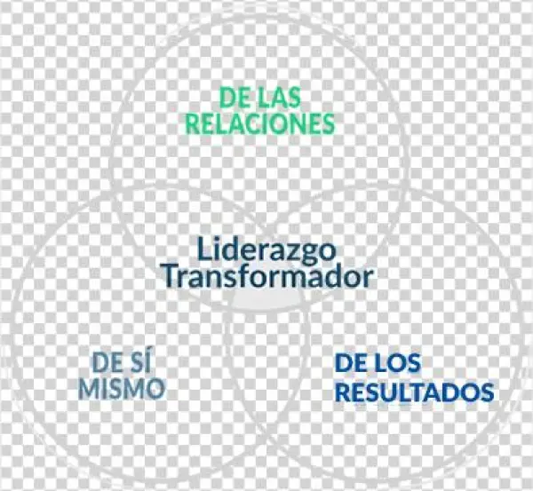 Liderazgo - Circle