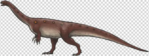 Massospondylus Reconstruction - Massospondylus