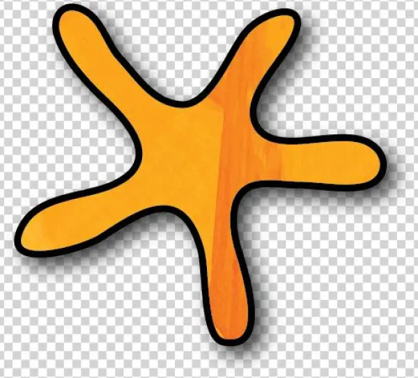 Orange Starfish