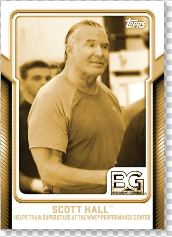 Scott Hall - Gentleman