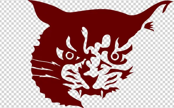 Wildcat Hauling - Wordpress
