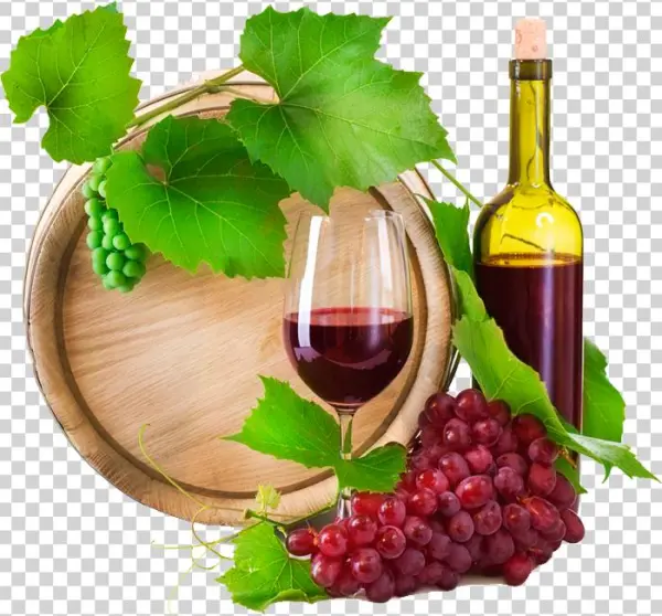 Wine - Wohome Electric Wine Aerator Wine Dispenser Aerator