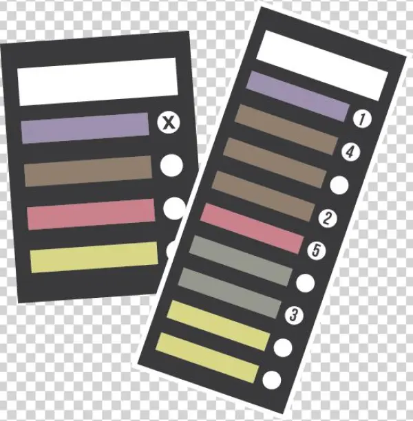 Ballots - Electoral System